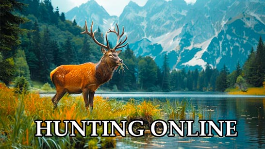 Hunting Online